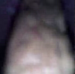 GirlsPooping meets The Blair Witch Project as a girl records herself pooping with her cell phone camera. Shaky video quality. Over 4 minutes.